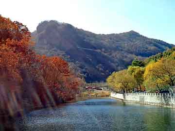 天天彩好彩天天免费，风流帝尊